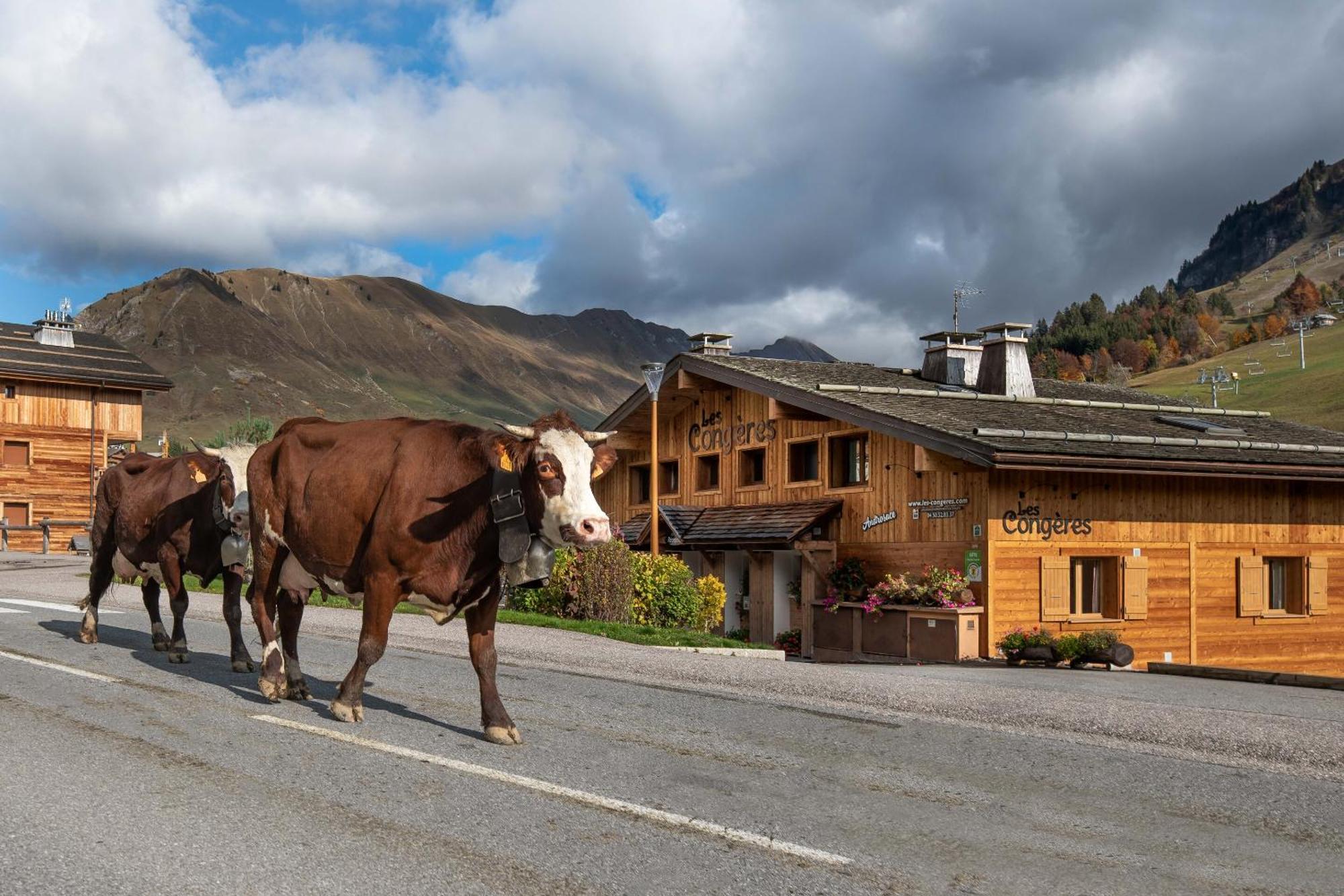 Les Congeres Villa Le Grand-Bornand Oda fotoğraf